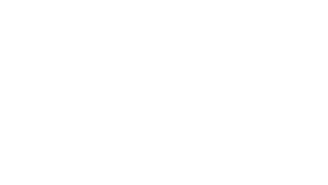 Líder WEG